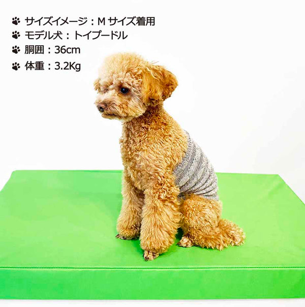 Clease[クリーズ] 　結糸＜yt50012＞シルクメランジワンちゃん（超/小型犬）用ロングタイプ腹巻★水玉柄S/Mサイズ【サイズ交換対象外】【ラッピング（有料）可】