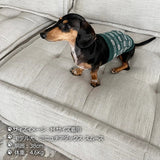 Clease[クリーズ] 　＜yt50012＞シルクメランジワンちゃん（超/小型犬）用ロングタイプ腹巻★水玉柄S/Mサイズ【サイズ交換対象外】【ラッピング（有料）可】