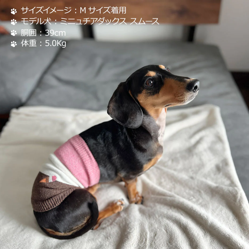 Clease[クリーズ] 　結糸＜yt50015＞シルクメランジワンちゃん（超/小型犬）用ロングタイプ腹巻★アイスクリーム 刺繍つき【サイズ交換対象外】【ラッピング（有料）可】